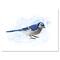 Designart - Vintage Blue Jay Bird - Traditional Canvas Wall Art Print